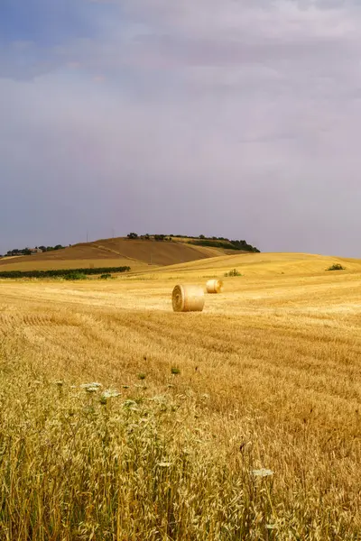 Paisaje Rural Largo Carretera Matera Gravina Puglia Basilicata Italia Verano — Foto de Stock