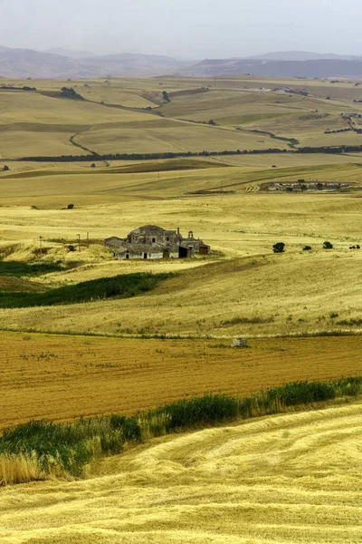 Paesaggio Campestre Vicino Gravina Puglia Provincia Bari Puglia Italia Estate — Foto Stock