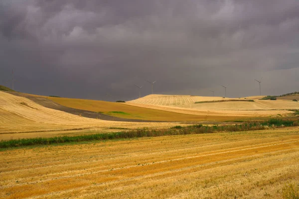 Paesaggio Campestre Vicino Gravina Puglia Provincia Bari Puglia Italia Estate — Foto Stock