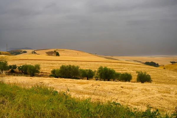 Αγροτικό Τοπίο Στην Basilicata Κατά Μήκος Του Δρόμου Από Gravina — Φωτογραφία Αρχείου