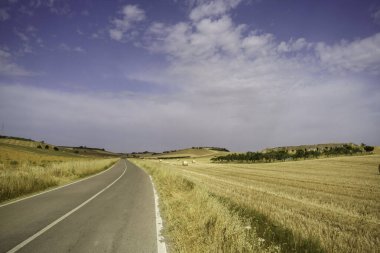 Matera 'dan Gravina di Puglia, Basilicata, İtalya' ya giden yol boyunca uzanan kır manzarası.