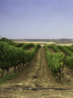 Puglia 'daki Gravina' dan İtalya 'daki Melfi, Potenza eyaletine kadar Basilicata' daki kır manzarası