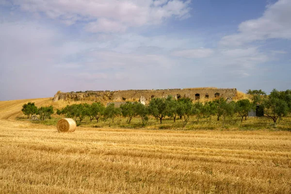 Paesaggio Campagna Lungo Strada Matera Gravina Puglia Basilicata Italia Estate — Foto Stock