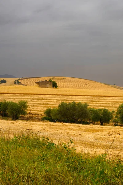Paesaggio Rurale Basilicata Lungo Strada Gravina Puglia Melfi Provincia Potenza — Foto Stock