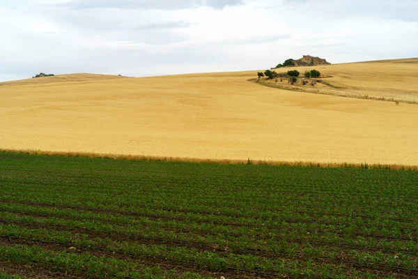 Landskap Basilicata Längs Vägen Från Gravina Apulien Till Melfi Potenzaprovinsen — Stockfoto