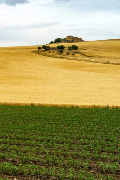 Αγροτικό Τοπίο Στην Basilicata Κατά Μήκος Του Δρόμου Από Gravina — Φωτογραφία Αρχείου