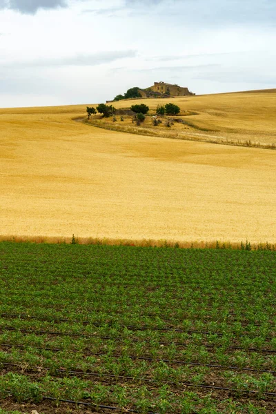 Paysage Rural Basilicate Long Route Gravina Dans Les Pouilles Melfi — Photo