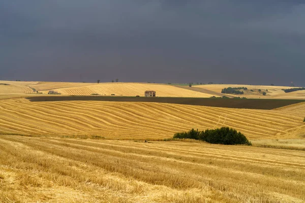 Paysage Rural Basilicate Long Route Gravina Dans Les Pouilles Melfi — Photo