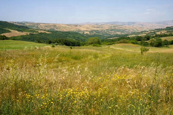 Paesaggio Rurale Campania Vicino Monteverde Lacedonia Provincia Avellino Italia Estate — Foto Stock