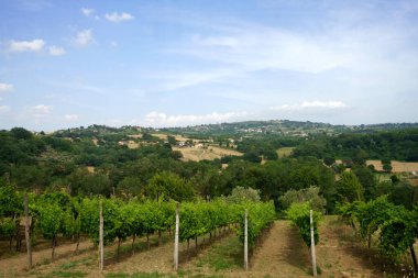 Yaz mevsiminde İtalya 'nın Benevento eyaleti Mirabella yakınlarındaki Campania' da kır manzarası