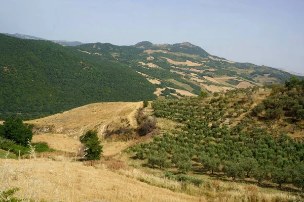 Paisaje Rural Basilicata Cerca Melfi Provincia Potenza Italia Verano —  Fotos de Stock