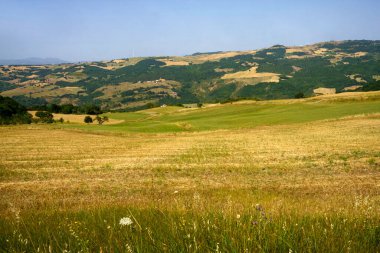 İtalya 'nın Avellino eyaleti Monteverde yakınlarındaki Campania' da yaz mevsimi manzarası