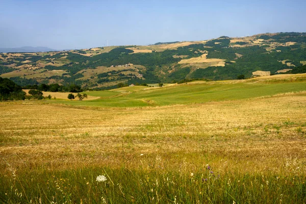 Vidéki Táj Campania Közelében Monteverde Avellino Tartomány Olaszország Nyáron — Stock Fotó