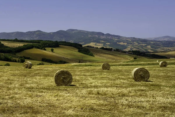 Paisaje Rural Campania Cerca Bisaccia Lacedonia Provincia Avellino Italia Verano — Foto de Stock