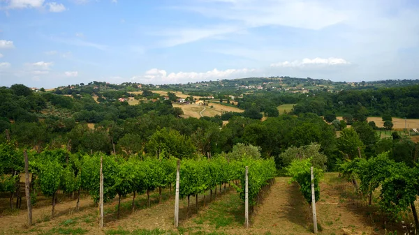 Krajobraz Wiejski Kampanii Pobliżu Mirabelli Prowincja Benevento Włochy Lecie — Zdjęcie stockowe