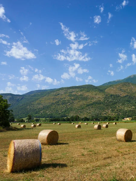 Letní Krajina Podél Silnice Cassina Fontana Liri Provincie Frosinone Lazio — Stock fotografie