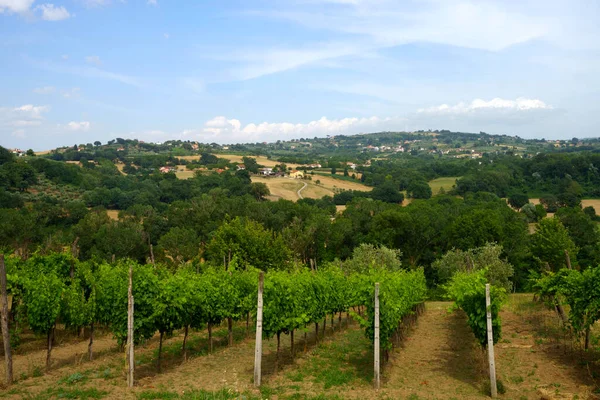 Krajobraz Wiejski Kampanii Pobliżu Mirabelli Prowincja Benevento Włochy Lecie — Zdjęcie stockowe
