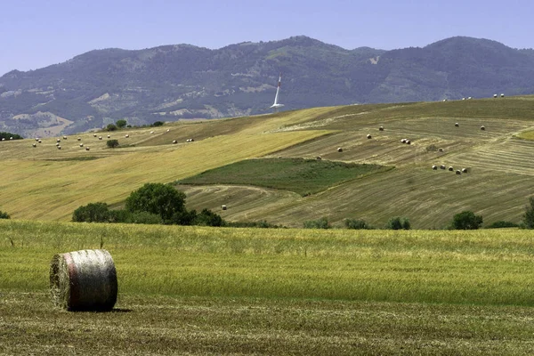 Paisaje Rural Campania Cerca Monteverde Lacedonia Provincia Avellino Italia Verano — Foto de Stock