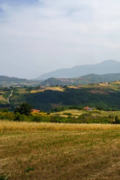 Paesaggio Rurale Campania Vicino Bisaccia Lacedonia Provincia Avellino Italia Estate — Foto Stock