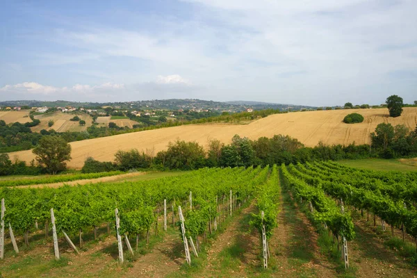 Paesaggio Rurale Campania Vicino Mirabella Provincia Benevento Italia Estate — Foto Stock