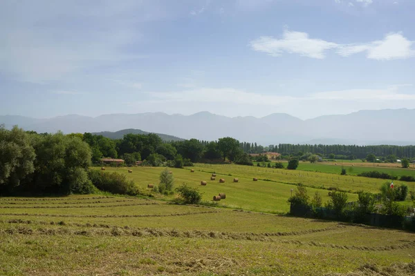 Country Landscape Road Rieri Contigliano Lazio Italy Summer Morning — Stock Photo, Image