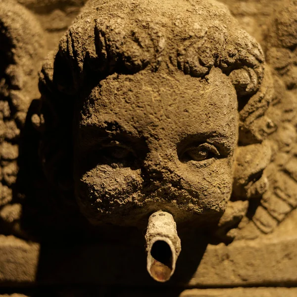 Viterbo Lazio Itálie Historické Budovy Noci Fontána — Stock fotografie