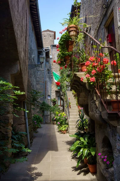 Vitorchiano Středověká Vesnice Provincii Viterbo Lazio Itálie — Stock fotografie