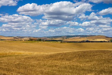 Cassia yolu boyunca kırsal alan Castiglione, Siena, Tuscany, İtalya, yaz mevsiminde