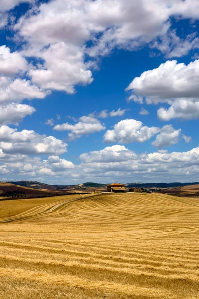 夏季意大利托斯卡纳省Radicofani附近Cassia公路沿线的农村景观 — 图库照片