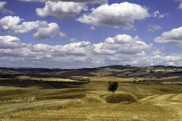 Paesaggio Rurale Lungo Strada Cassia Vicino Radicofani Provincia Siena Toscana — Foto Stock