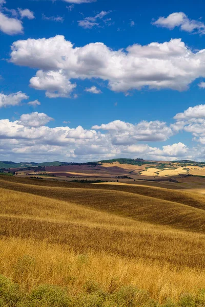 Paisaje Rural Largo Carretera Cassia Cerca Castiglione Provincia Siena Toscana — Foto de Stock