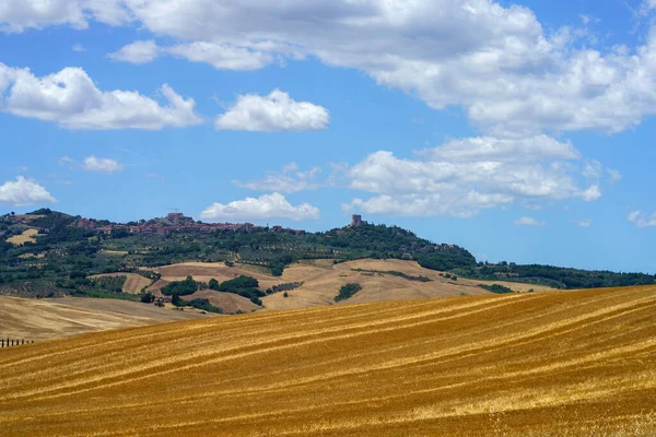 夏には イタリアのトスカーナ州シエナ州カスティグリオーネ近くのカシア道路沿いの田園風景 — ストック写真