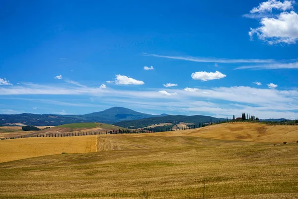 Paesaggio Rurale Lungo Strada Cassia Vicino Castiglione Provincia Siena Toscana — Foto Stock