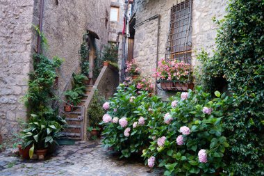 Bolsena, İtalya 'nın Lazio eyaletindeki ortaçağ şehri.