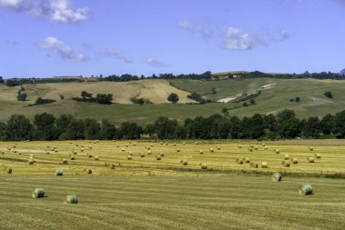 Yaz mevsiminde Acquapendente, Viterbo ili, Lazio, İtalya yakınlarındaki Cassia yolu boyunca kırsal alan.