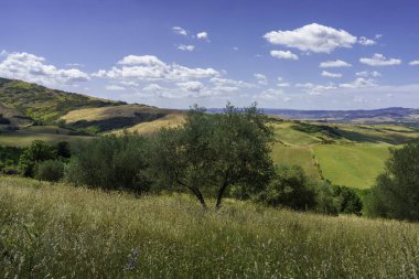 Yazın İtalya 'nın Toskana eyaletinde, Siena eyaletinin Radicofani yakınlarındaki Cassia yolu boyunca kırsal alan