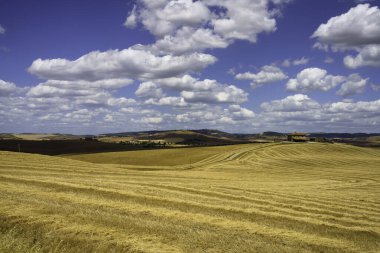 Yazın İtalya 'nın Toskana eyaletinde, Siena eyaletinin Radicofani yakınlarındaki Cassia yolu boyunca kırsal alan
