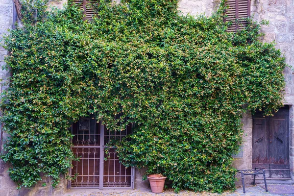 Bolsena Cidade Medieval Província Viterbo Lazio Itália — Fotografia de Stock