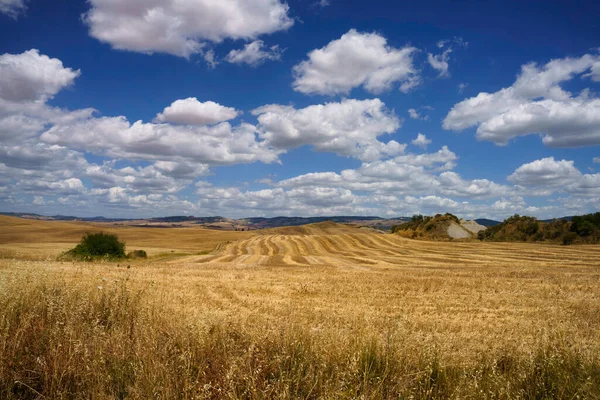 夏には イタリアのトスカーナ州ラディコファニ近くのカシア道路沿いの農村風景 — ストック写真