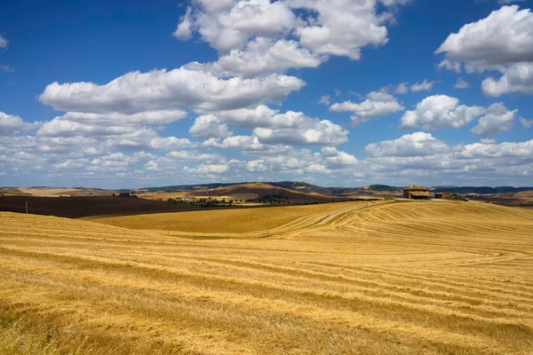 夏季意大利托斯卡纳省Radicofani附近Cassia公路沿线的农村景观 — 图库照片