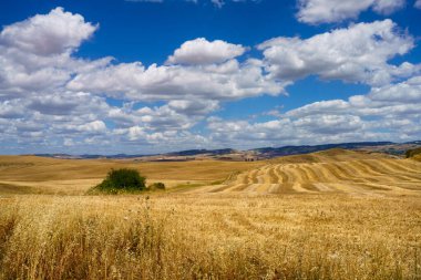 Yazın İtalya 'nın Toskana eyaletinde, Siena eyaletinin Radicofani yakınlarındaki Cassia yolu boyunca kırsal alan