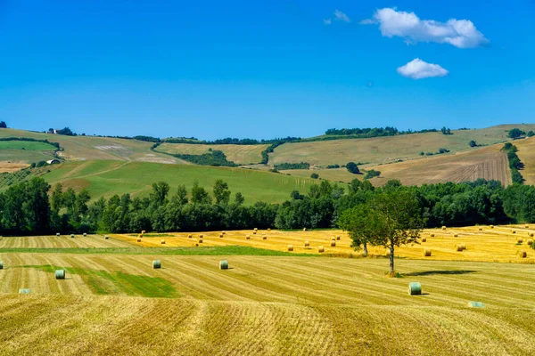 Rural Landscape Cassia Road Acquapendente Viterbo Province Lazio Italy Summer — Stock Photo, Image