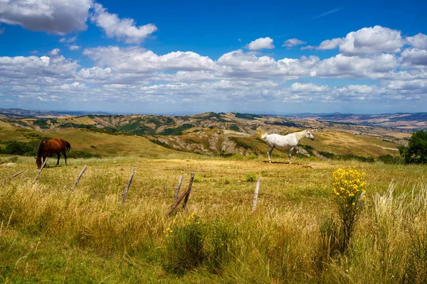 Landelijk Landschap Langs Cassia Weg Nabij Radicofani Provincie Siena Toscane — Stockfoto