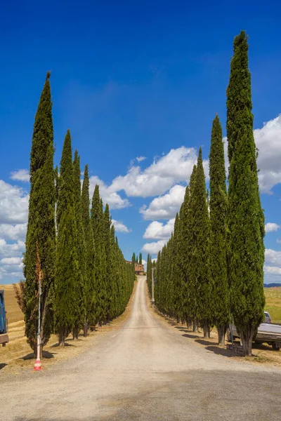 夏には イタリアのトスカーナ州シエナ州カスティグリオーネ近くのカシア道路沿いの田園風景 — ストック写真