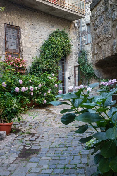 Bolsena Середньовічне Місто Провінції Вітербо Лаціо Італія — стокове фото