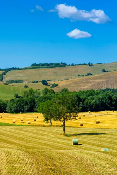 Venkovská Krajina Podél Silnice Cassia Poblíž Acquapendente Provincie Viterbo Lazio — Stock fotografie