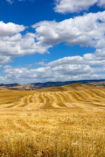 Yazın İtalya 'nın Toskana eyaletinde, Siena eyaletinin Radicofani yakınlarındaki Cassia yolu boyunca kırsal alan