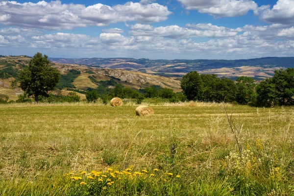 Paysage Rural Long Route Cassia Près Radicofani Province Sienne Toscane — Photo