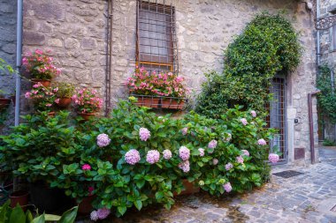 Bolsena, İtalya 'nın Lazio eyaletindeki ortaçağ şehri.