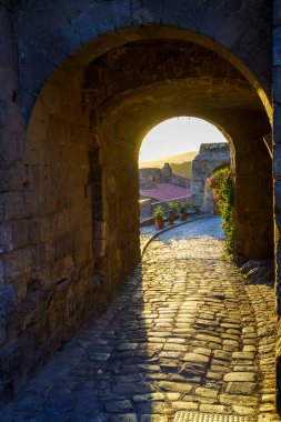 Bolsena, İtalya 'nın Lazio eyaletindeki ortaçağ şehri.